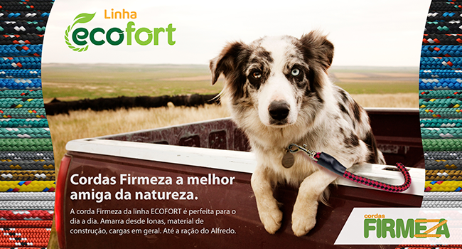 Firmeza Cordas Eco.png